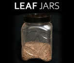 Leaf Jars Collection in Pakistan